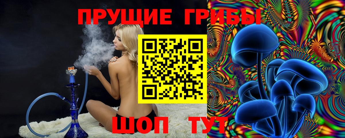 Галлюциногенные грибы мухоморы Заинск