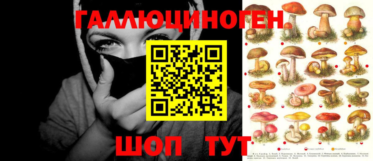 Галлюциногенные грибы Magic Shrooms  Вход с VPN  Заинск 